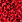 RED/MULTI