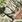 GREEN/MULTI