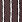 DARK BROWN/WHITE