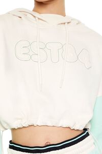 CREAM/SAGE Active Colorblock EST84 Hoodie, image 3