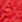 RED/MULTI